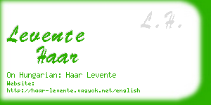 levente haar business card